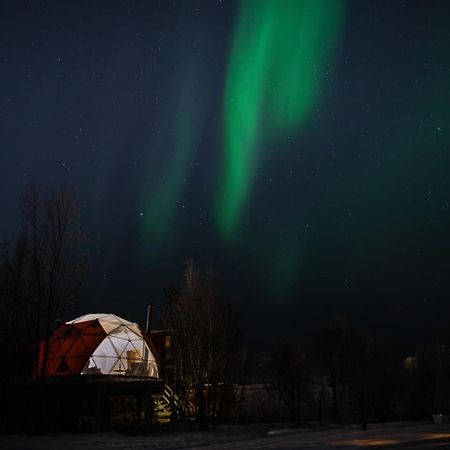 Aera - Glass Cabins Tromso Exterior photo