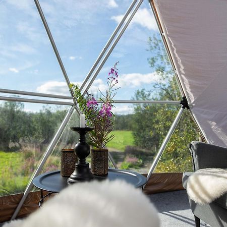 Aera - Glass Cabins Tromso Exterior photo